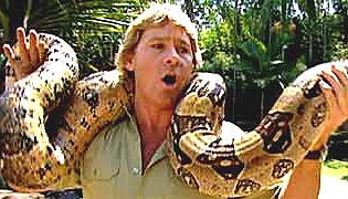 Steve Irwin