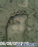 Russian Yeti Tracks