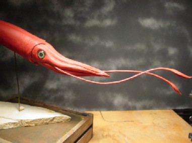 Giant Squid