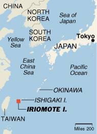 iriomote3
