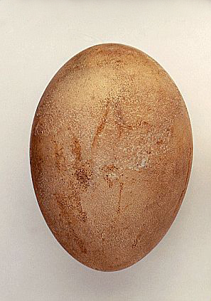 london egg