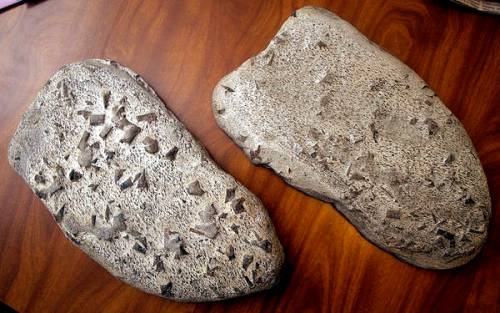 Tony Martin Maine Bigfoot Footprints