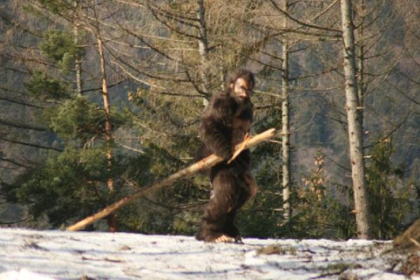 Romanian Bigfoot Photo