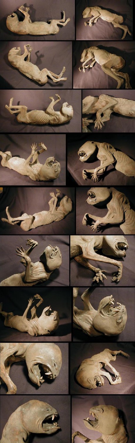 Sarina Brewer's Mummified Chupacabras