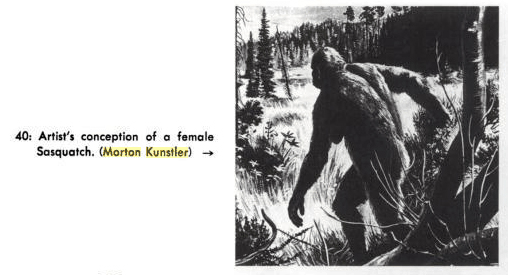 Female Sasquatch