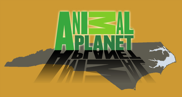 Animal Planet in North Carolina