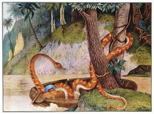 Giant snake, 1867, The Bestiarium of Aloys Zötl 1831-1887