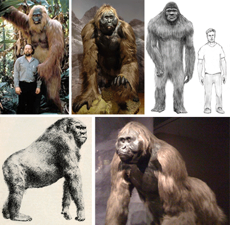 Gigantopithecus