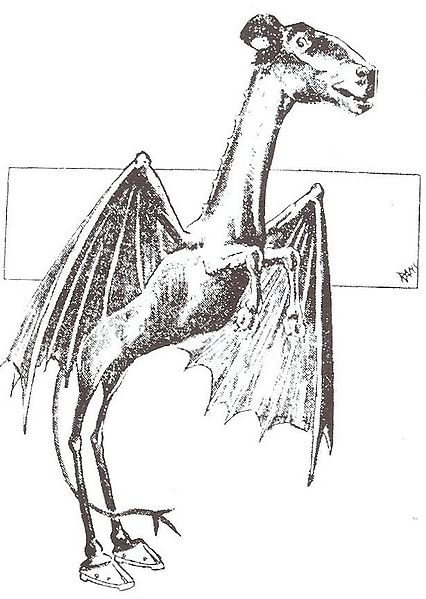 Jersey Devil