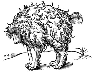 Mimick dog, Edward Topsell, 1658, public domain