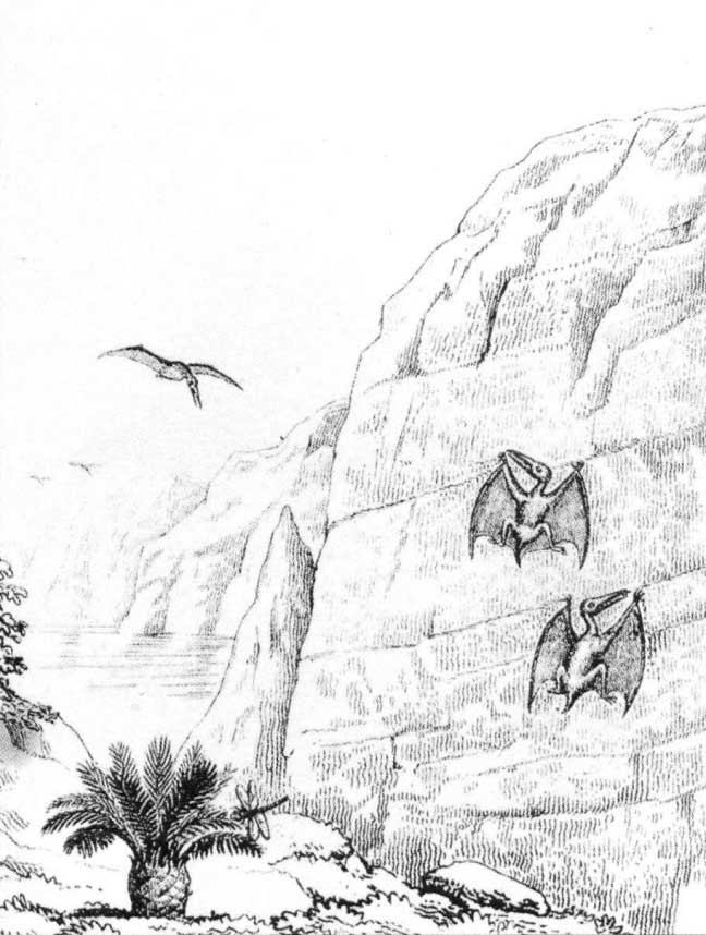 Pterosaurs_Buckland_1836_2