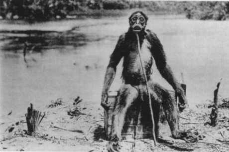 Dr. Francois de Loys' ape Ameranthropoides loysi