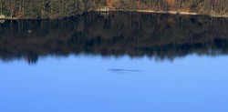 Lake Windermere Bowness Monster