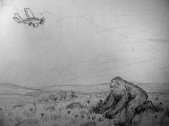 Illustration by AI A Bigfoot-like creature was seen near the Napakiak/Atmautluak Trail on August 3rd, 2013. When an airplane flew overhead, it ducked down into a crouched position as shown in this illustration.