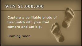 Bushnell Sasquatch Photo Contest