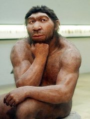 new neandertal