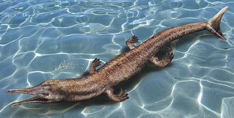 prehistoric crocodile