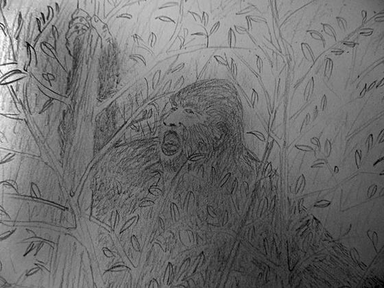 Illustration by AI An elderly couple from Kotlik heard a mysterious hollering while living at their summer fishcamp near their village. It was the strangest sound, said the man and the two suspected it came from Bigfoot, as depicted in this drawing. 