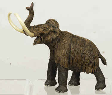 mammoth subspecies