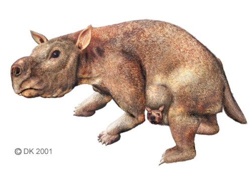 diprotodon giant wombat