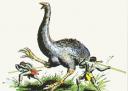 elephant bird