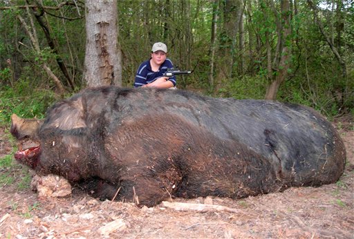 Giant Hog