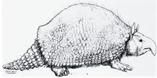 gillette-ray-trunky-glyptodont.jpg