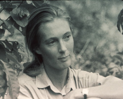 Jane Goodall