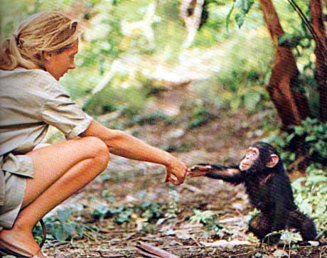 Jane Goodall