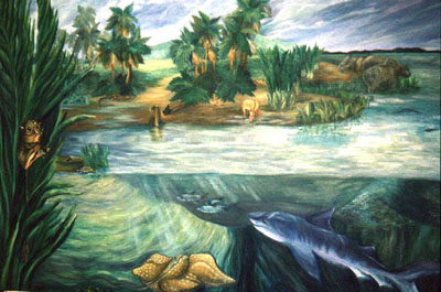 Eocene Texas coastal habitat Art by Abby Salazar