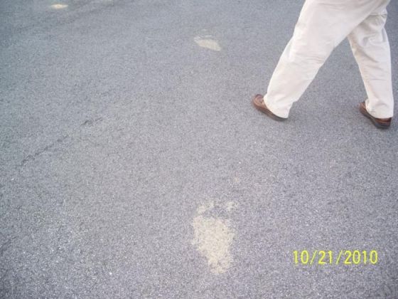 Bigfoot footprint photos