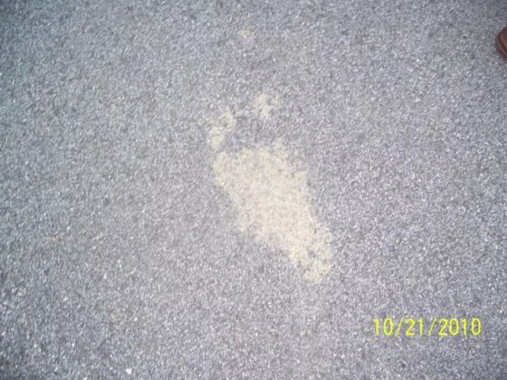 Bigfoot footprint photos