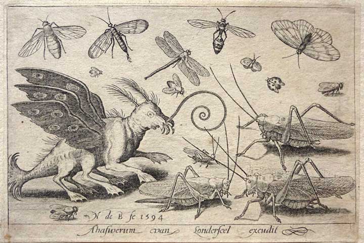 Bizarre locust engraving, Nicolaes de Bruyn, 1594, in Volatilium Varii Generis Effigies