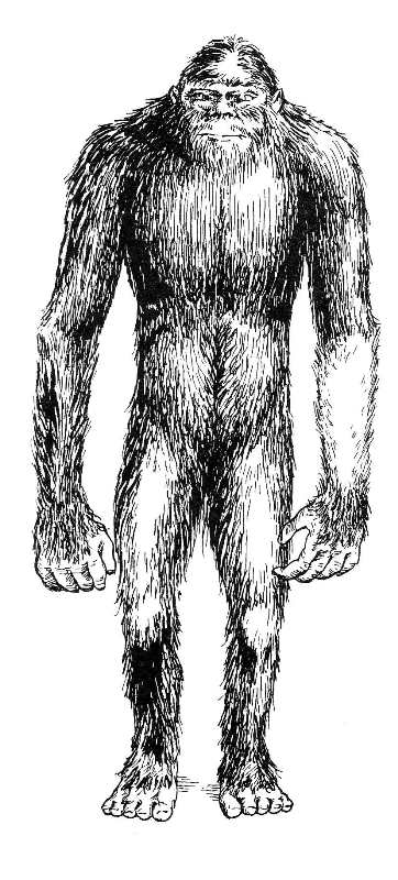 THE FIELD GUIDE TO BIGFOOT AND OTHER MYSTERY PRIMATES: Coleman