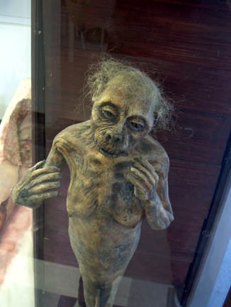 Feejee Mermaid