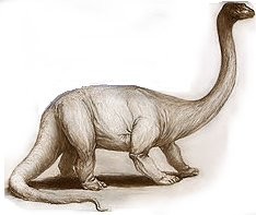 Mokele-mbembe, the Congo's mysterious Dinosaur
