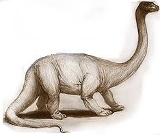 The Daily Bestiary: Mokele-Mbembe