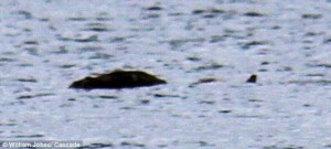 Loch Ness Monster Photo