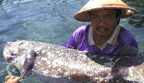 Indonesian Coelacanth