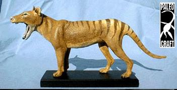 thylacine3