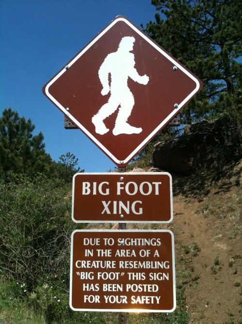 pikespeakbigfoot