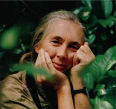 Jane Goodall