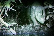 rhino cam