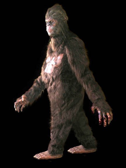 Sasquatch: The Costume