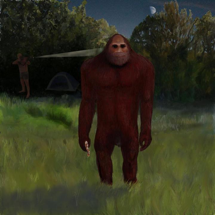 tentsquatch2