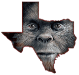 tx bigfoot