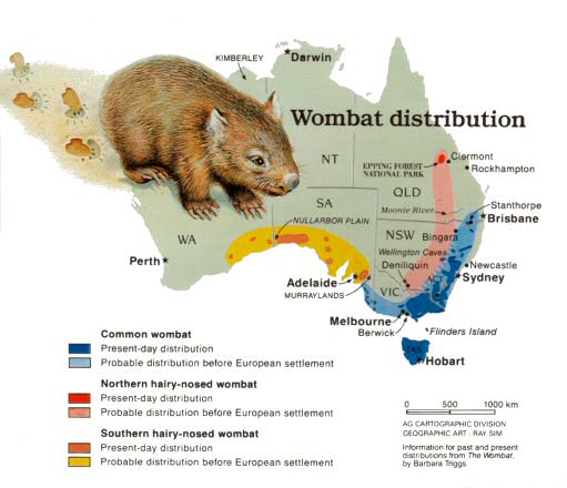 wombat map