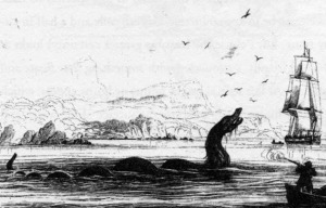 san francisco sea monster